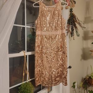 Size 8 Adrianna Papell Sequin Dress